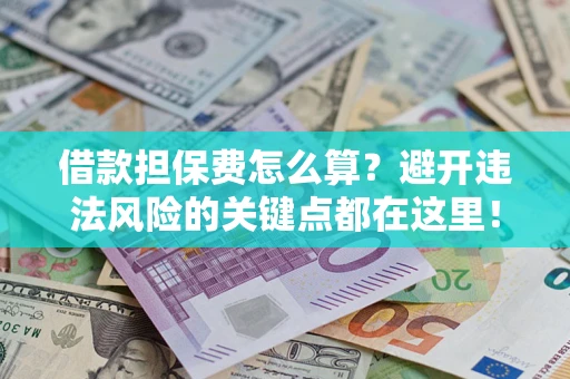 济南借款担保费怎么算？避开违法风险的关键点都在这里！