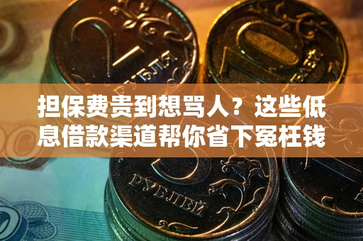 济南担保费贵到想骂人？这些低息借款渠道帮你省下冤枉钱