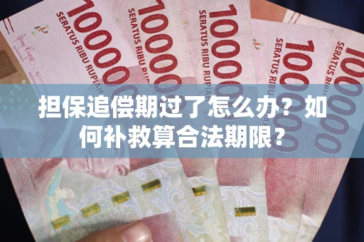 济南担保追偿期过了怎么办？如何补救算合法期限？