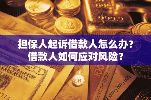 济南担保人起诉借款人怎么办？借款人如何应对风险？