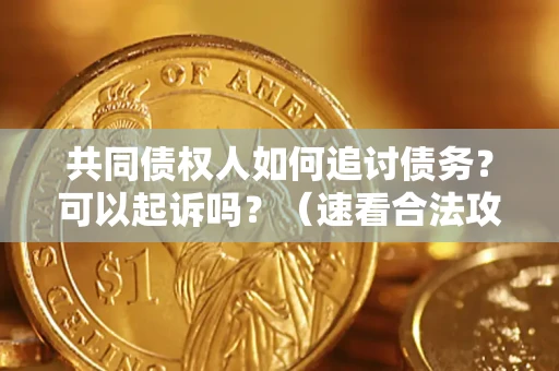 济南共同债权人如何追讨债务？可以起诉吗？（速看合法攻略）