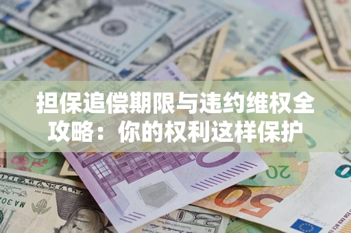 济南担保追偿期限与违约维权全攻略：你的权利这样保护